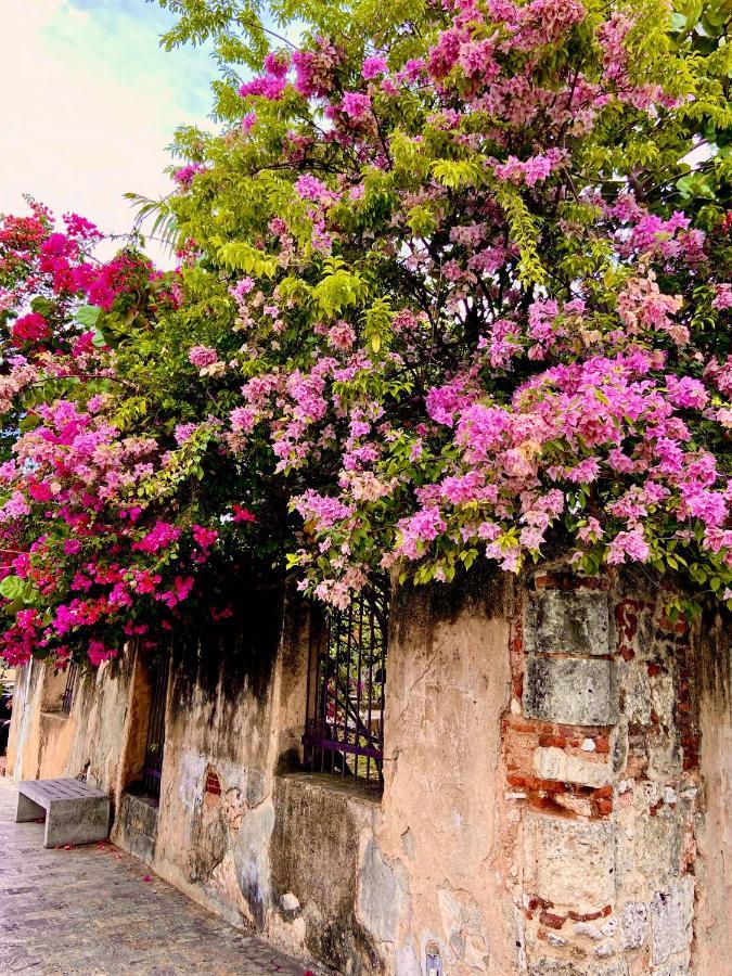 Boutique Hotel Casa Grande Santo Domingo Exterior photo